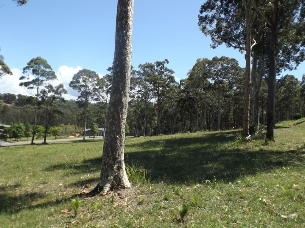 2 Woodlot Place, Batehaven NSW 2536, Batehaven - Thumbnail 3