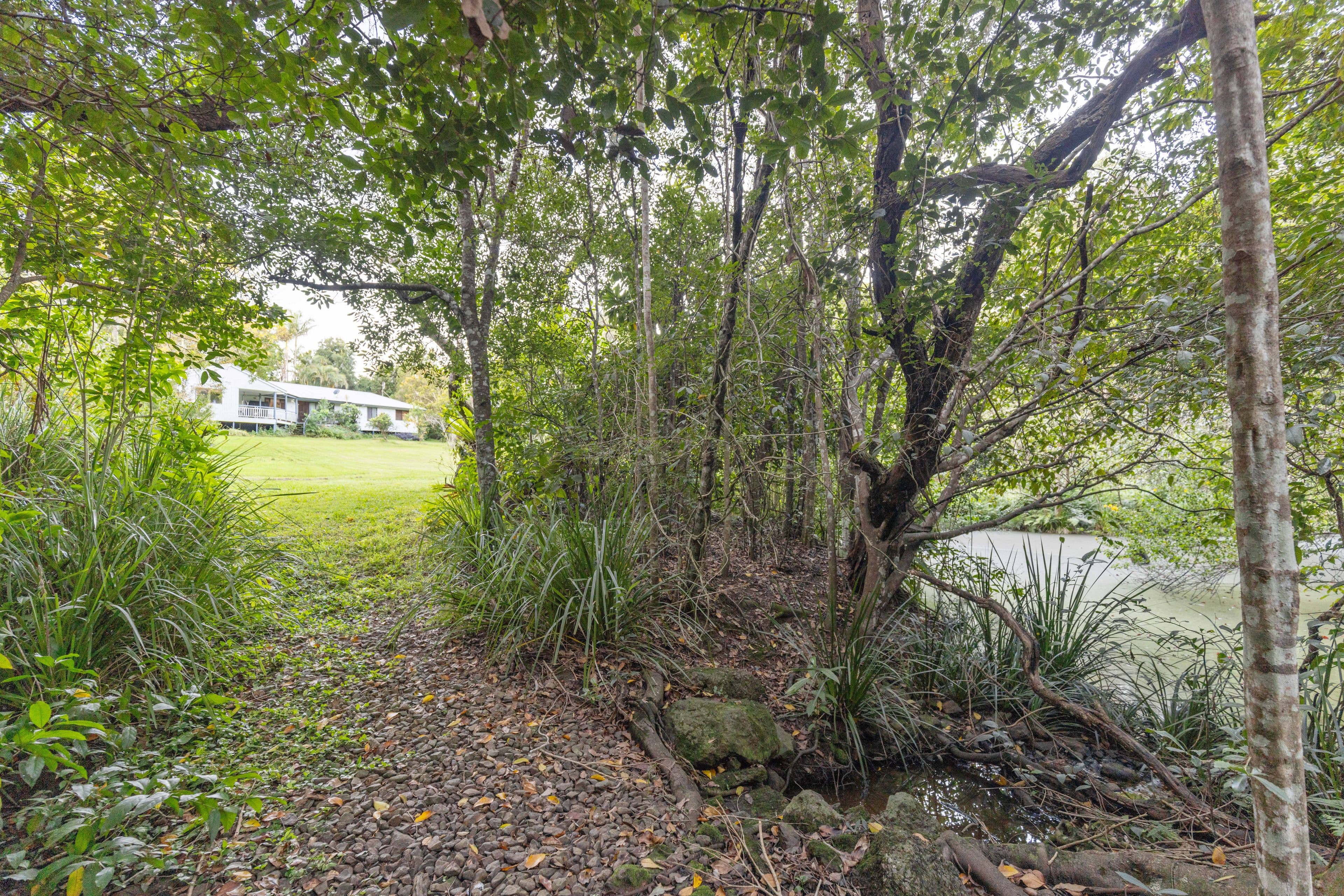 12 Freeman Court, Witta QLD 4552, Witta - Thumbnail 4