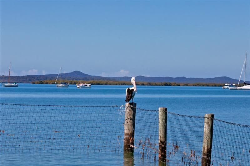 22 Seabrae Drive, REDLAND BAY QLD 4165, Redland Bay - Thumbnail 8