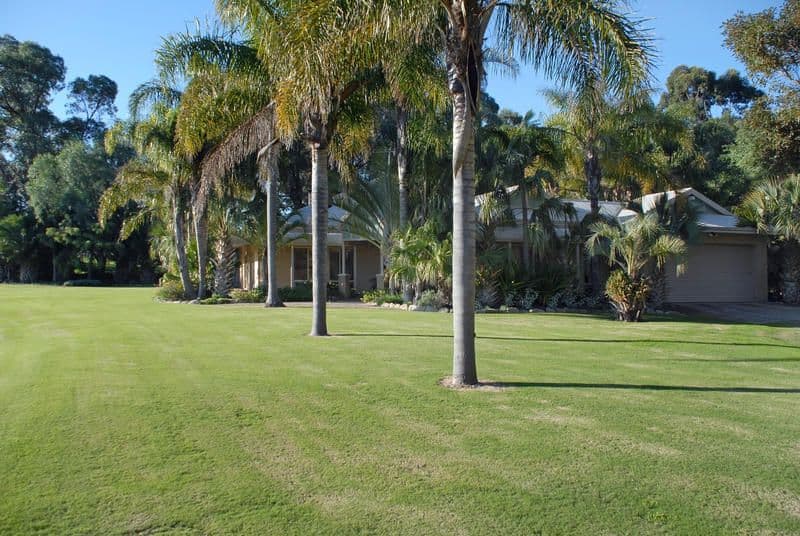390 St Albans Road, BALDIVIS WA 6171, Baldivis - Thumbnail 4