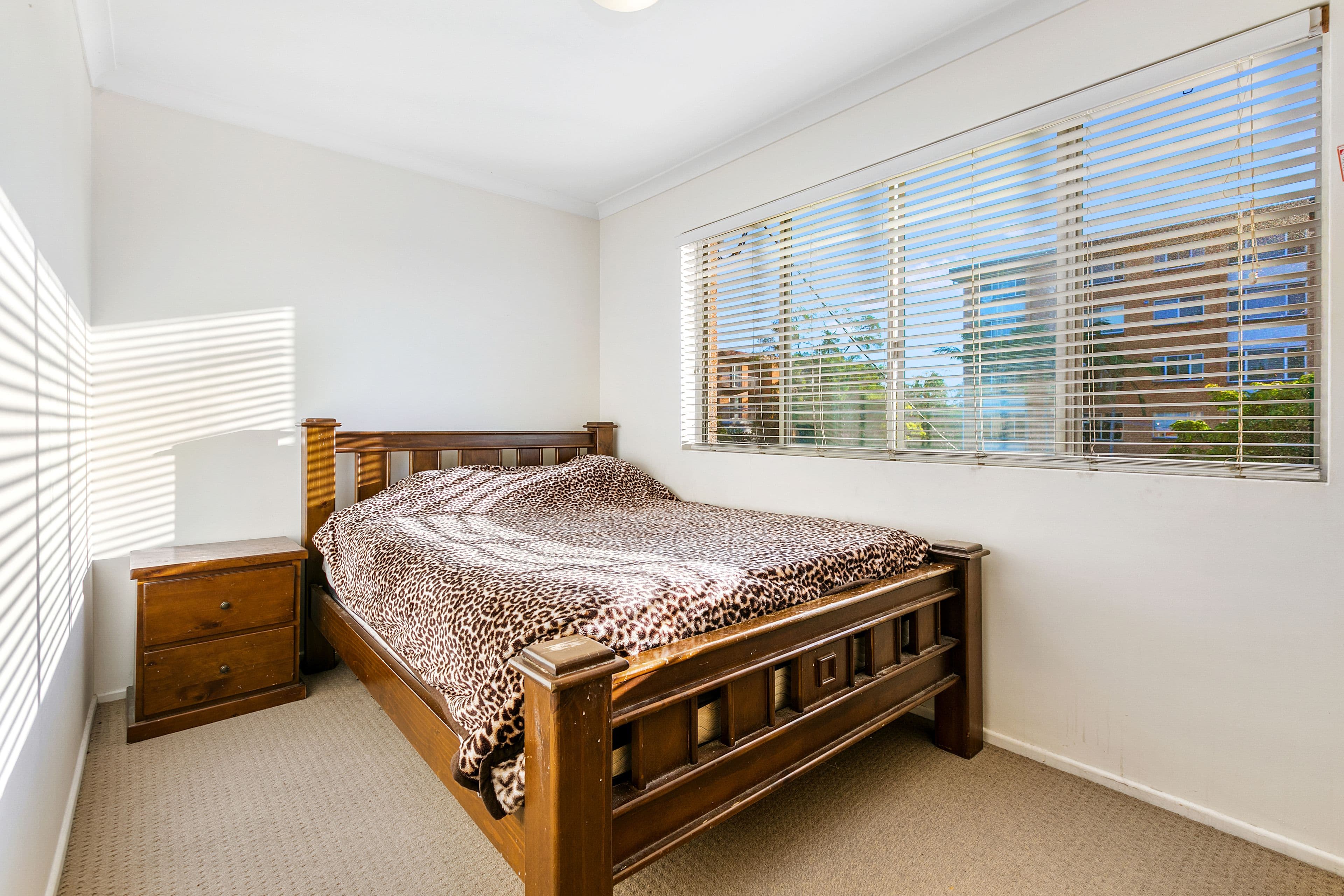 58 Rialto Street, Coorparoo QLD 4151, Coorparoo - Thumbnail 8