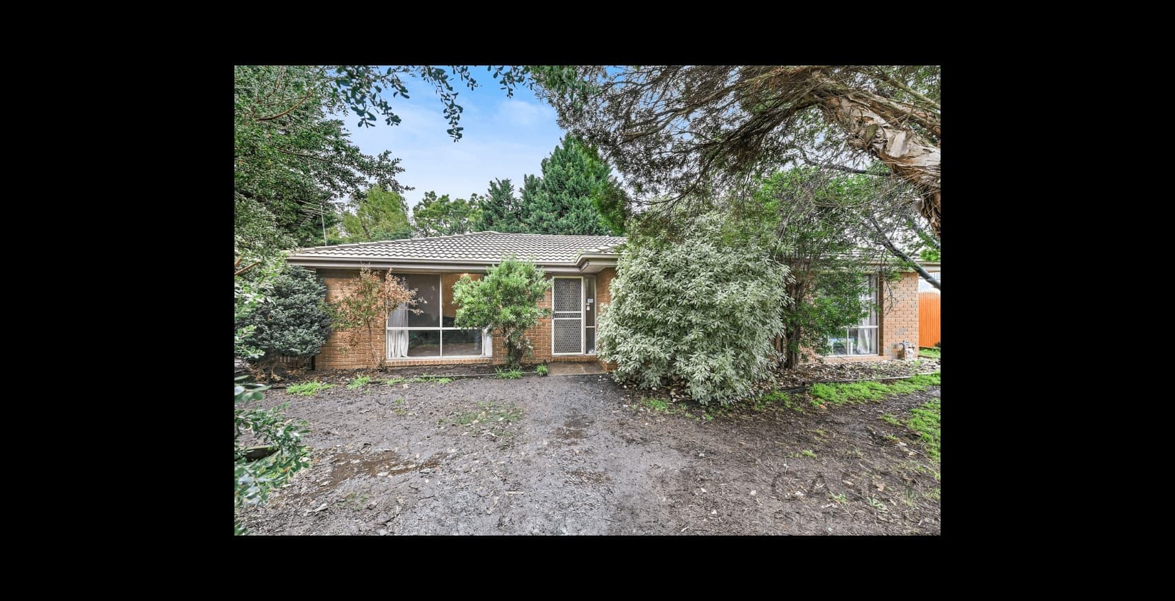 6 Darcy Court, Cranbourne - Thumbnail 4