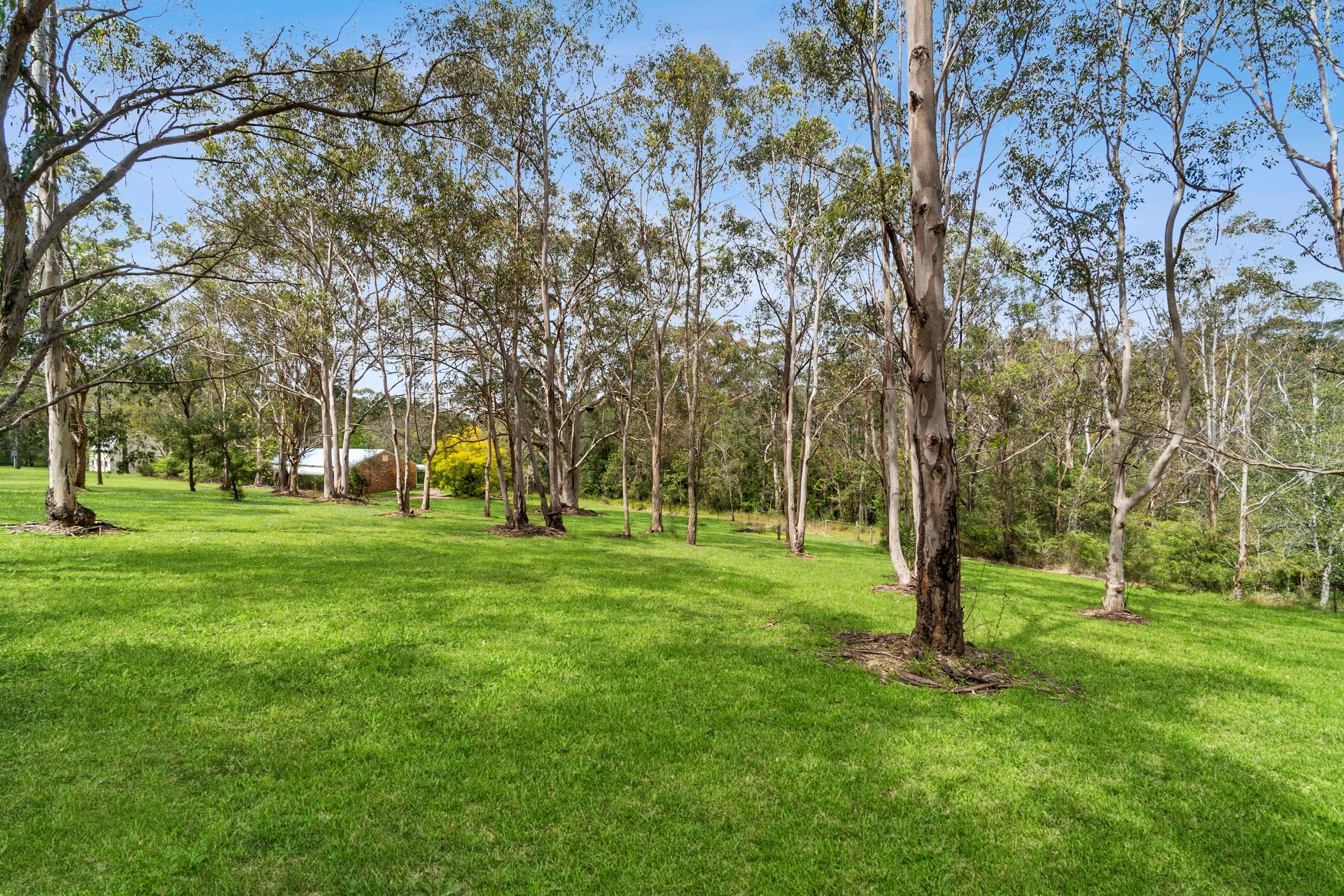 203 Redbank Road, North Richmond NSW 2754, North Richmond - Thumbnail 5