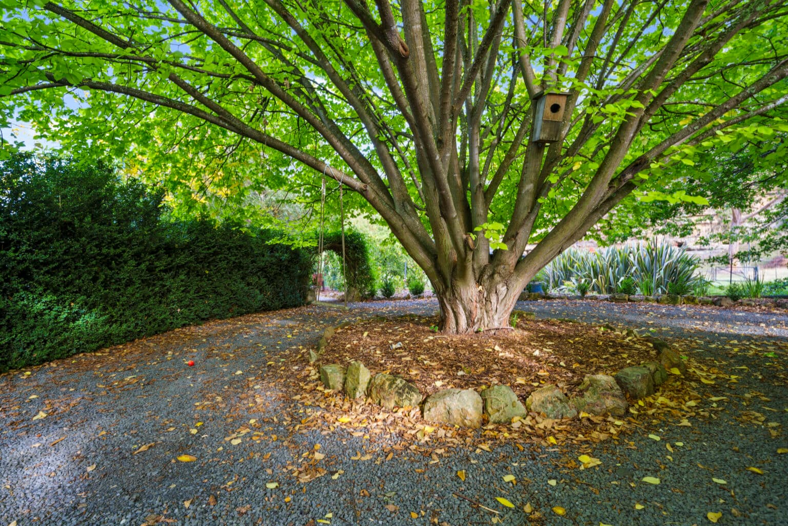 695 Back River Road, MAGRA TAS 7140, Magra - Thumbnail 3