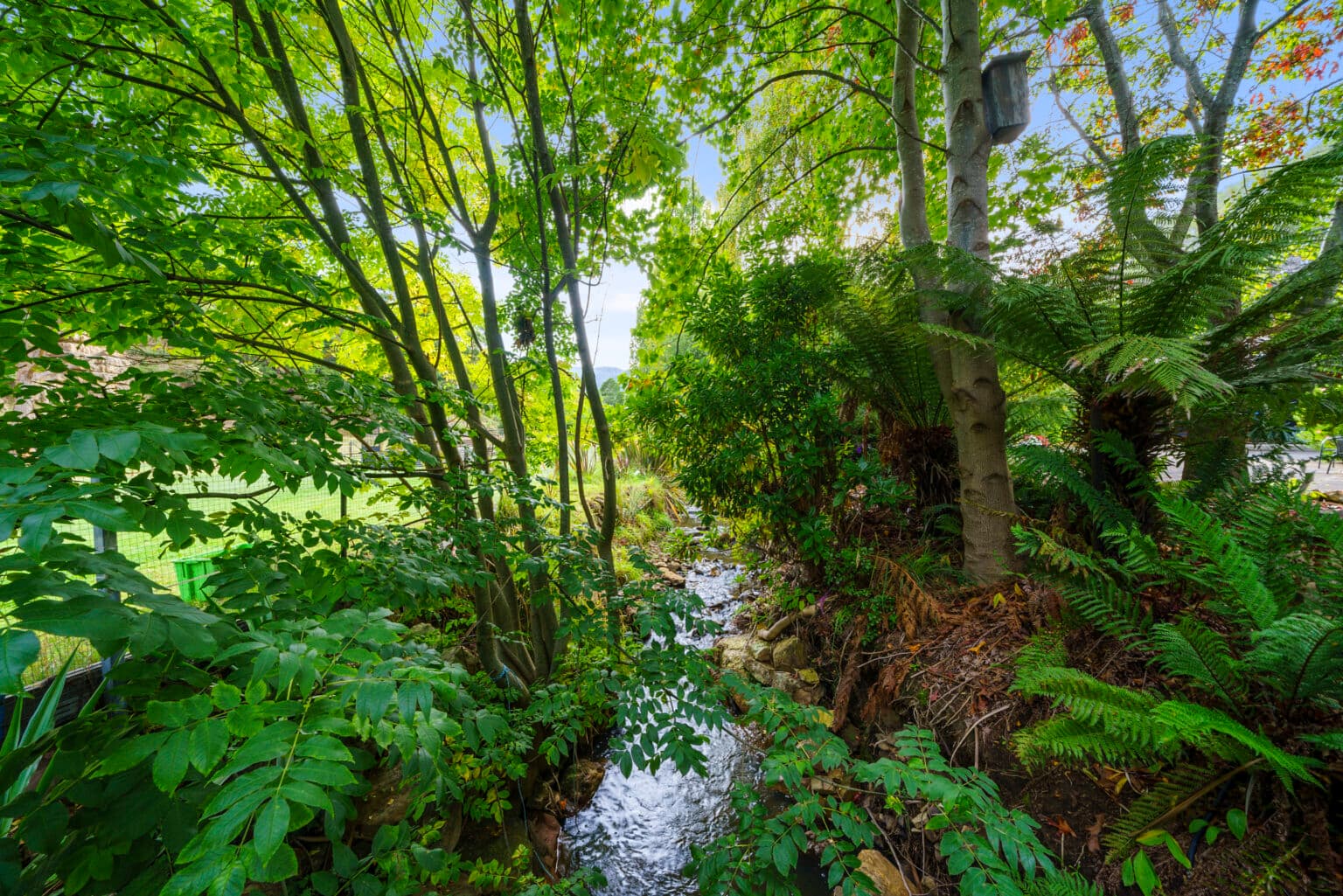695 Back River Road, MAGRA TAS 7140, Magra - Thumbnail 7
