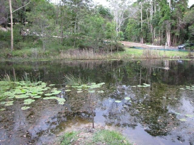 128 Whites Road, BUDERIM QLD 4556, Buderim - Image 1