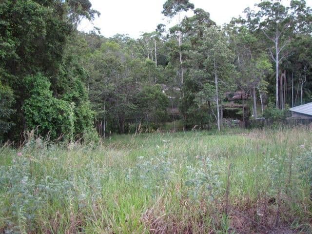 128 Whites Road, BUDERIM QLD 4556, Buderim - Thumbnail 2