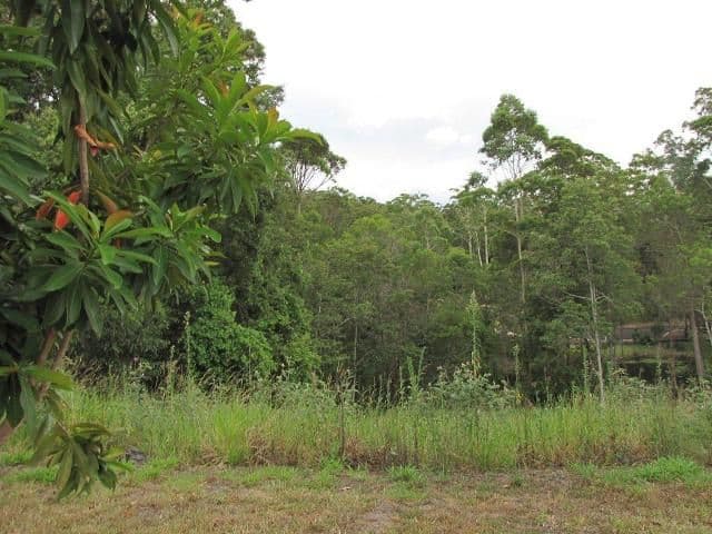128 Whites Road, BUDERIM QLD 4556, Buderim - Thumbnail 3