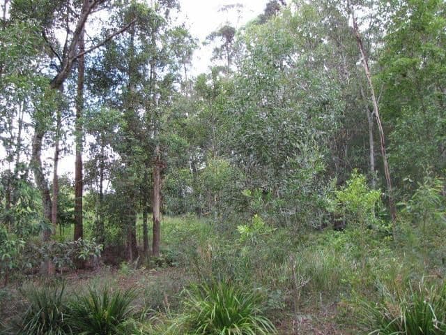 128 Whites Road, BUDERIM QLD 4556, Buderim - Thumbnail 4