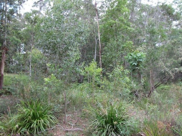 128 Whites Road, BUDERIM QLD 4556, Buderim - Thumbnail 5
