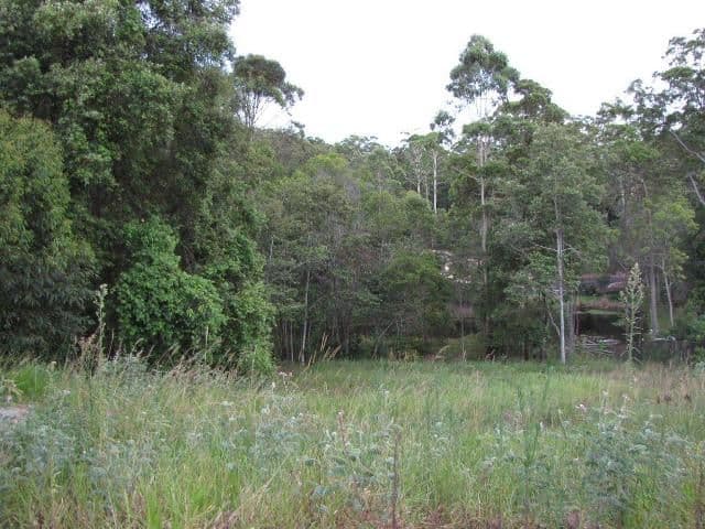 128 Whites Road, BUDERIM QLD 4556, Buderim - Thumbnail 6