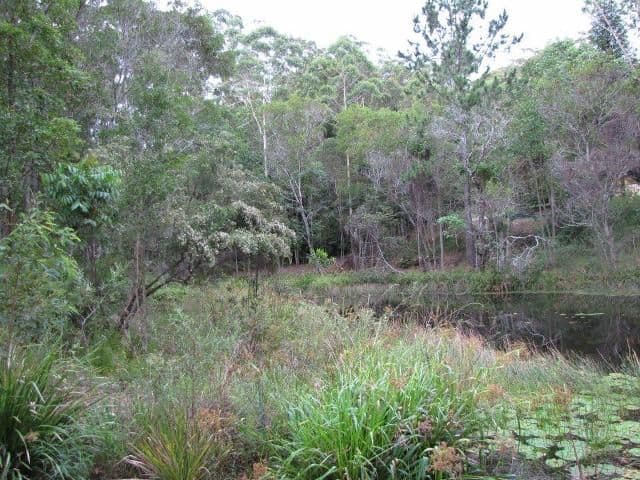 128 Whites Road, BUDERIM QLD 4556, Buderim - Thumbnail 7