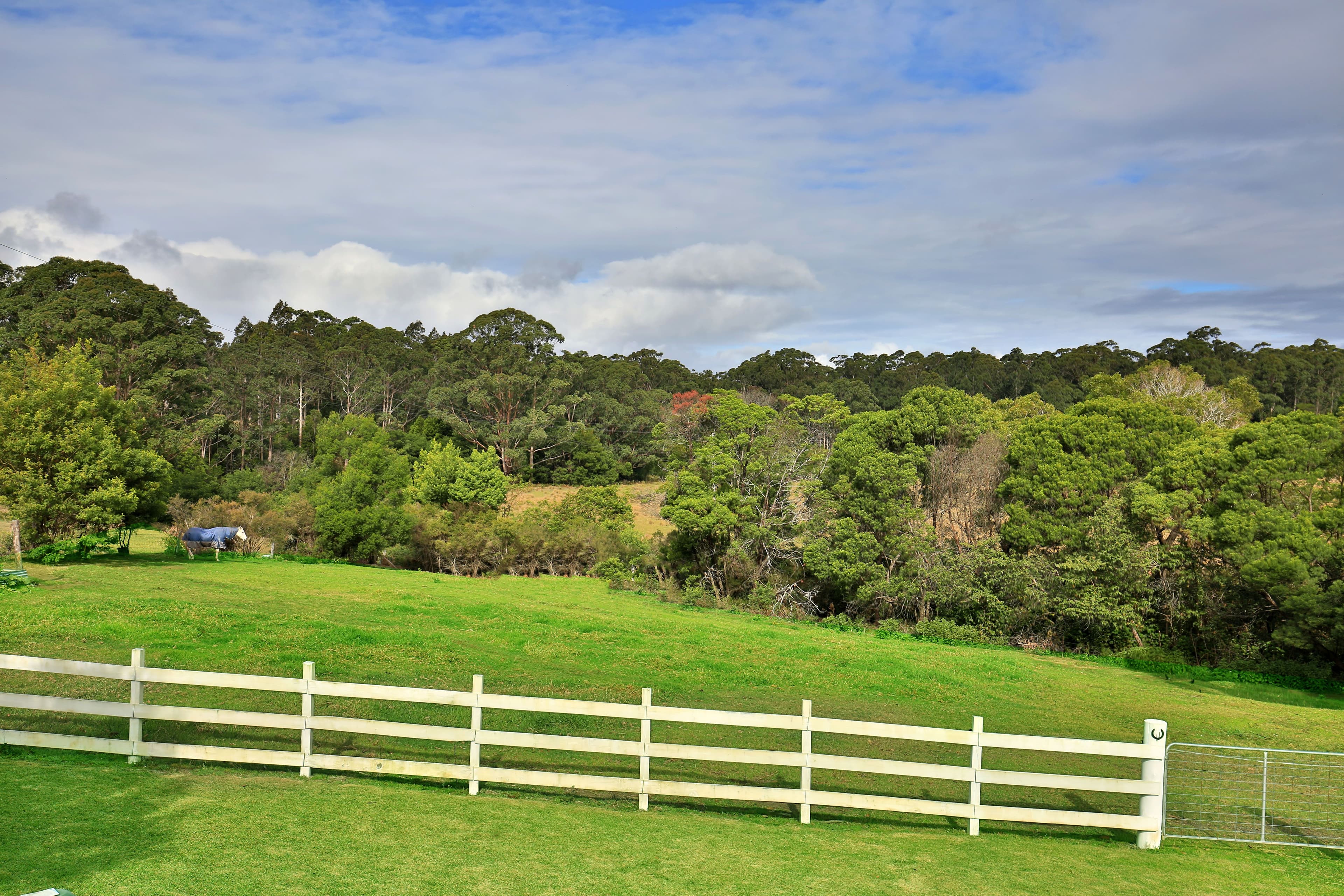 45 Hayward Road, Wandandian - Thumbnail 4