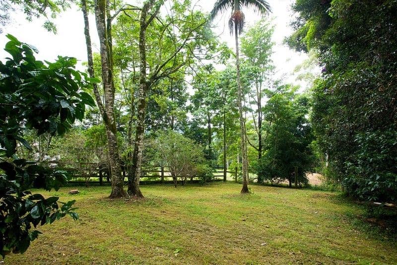 2046 Mt Glorious Road, MOUNT GLORIOUS QLD 4520, Mount Glorious - Thumbnail 6