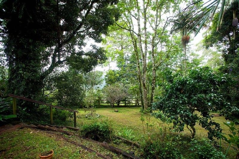 2046 Mt Glorious Road, MOUNT GLORIOUS QLD 4520, Mount Glorious - Thumbnail 7