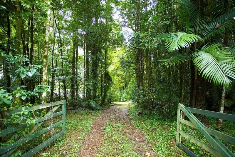 2046 Mt Glorious Road, MOUNT GLORIOUS QLD 4520, Mount Glorious - Thumbnail 8