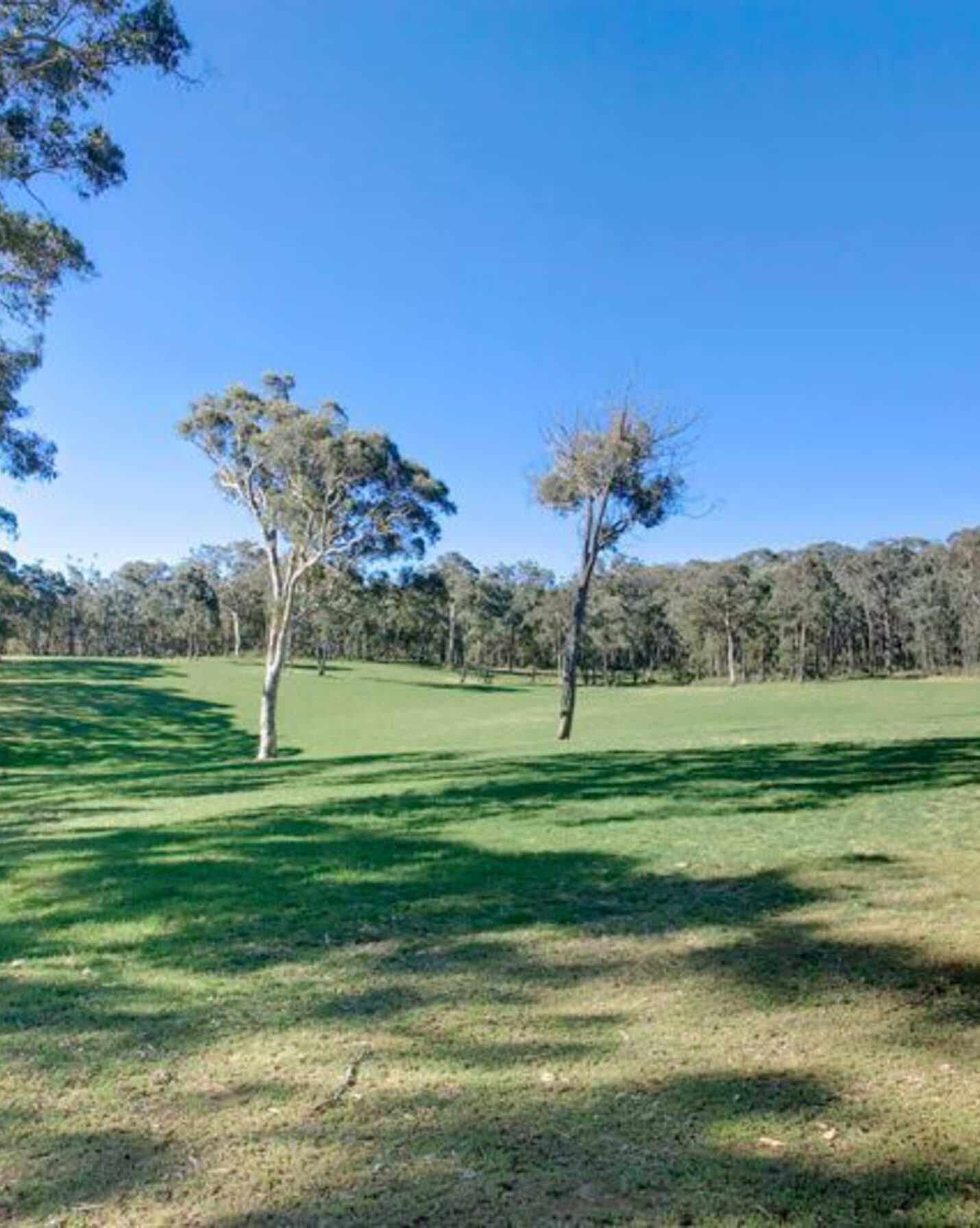 71 Birchalls Lane Berrima, Berrima - Thumbnail 2