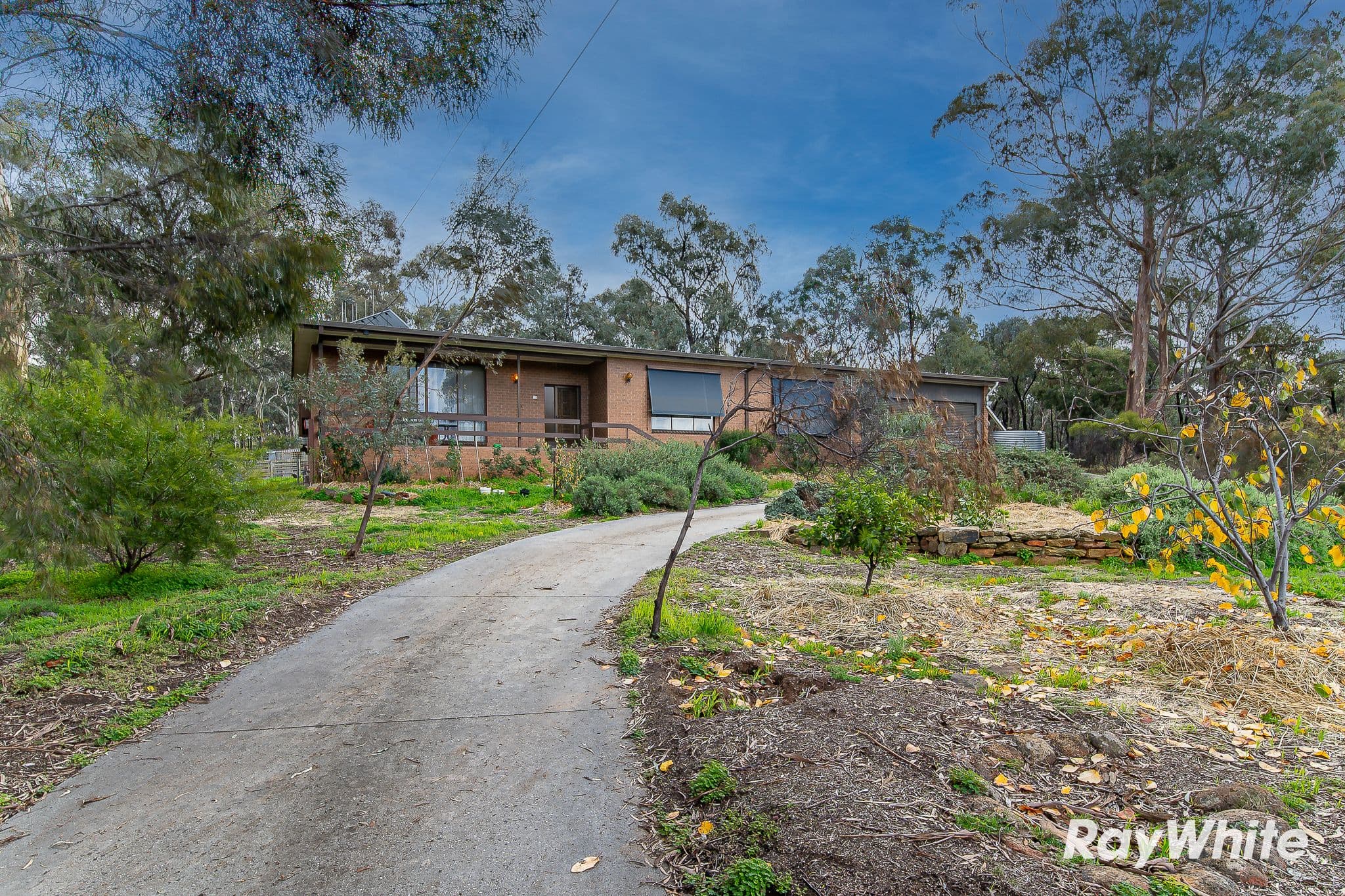 23 Jacob Street, North Bendigo VIC 3550, North Bendigo - Thumbnail 2