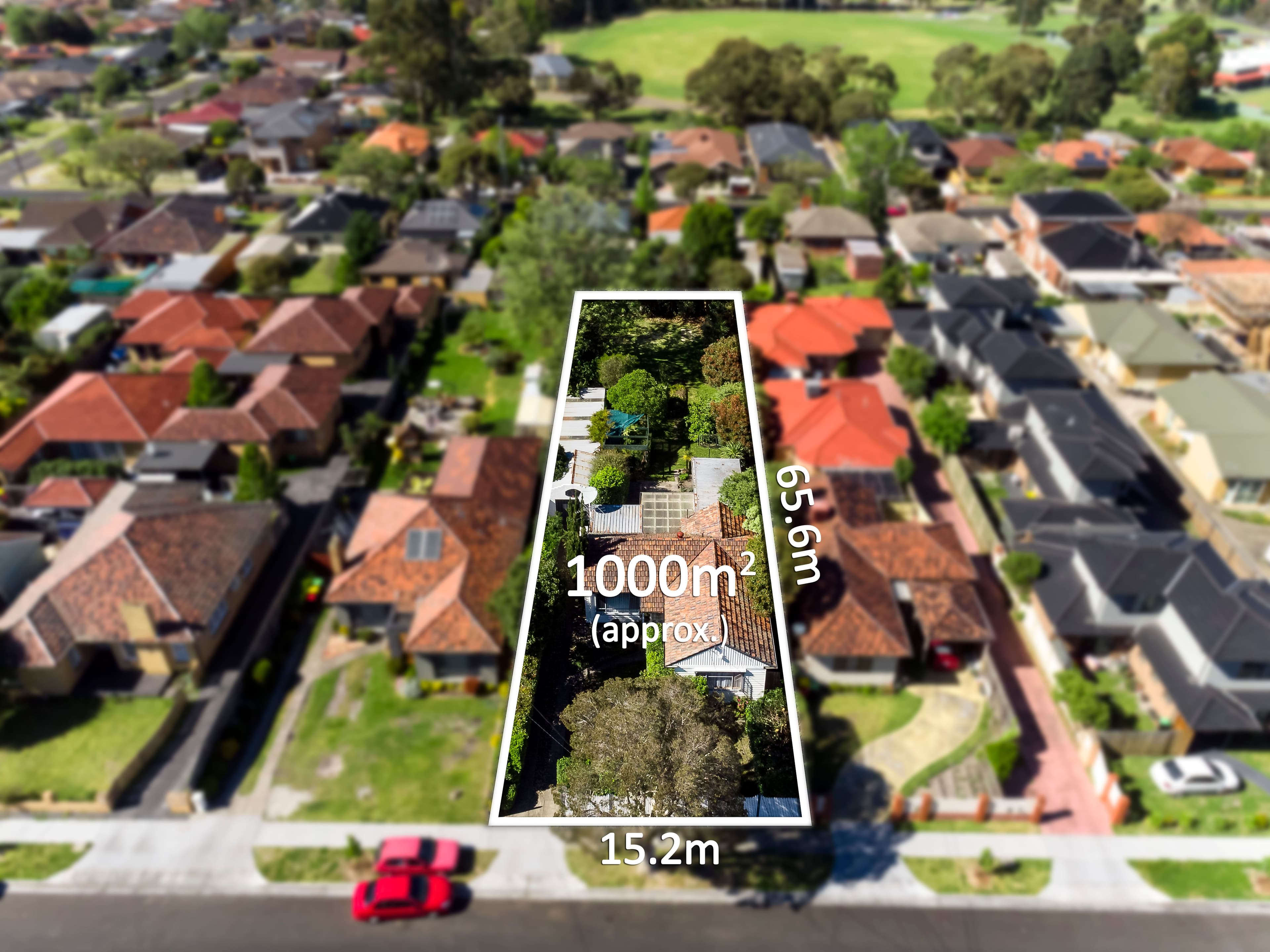 24 Manoon Road, Clayton South VIC 3169, Clayton South - Image 1