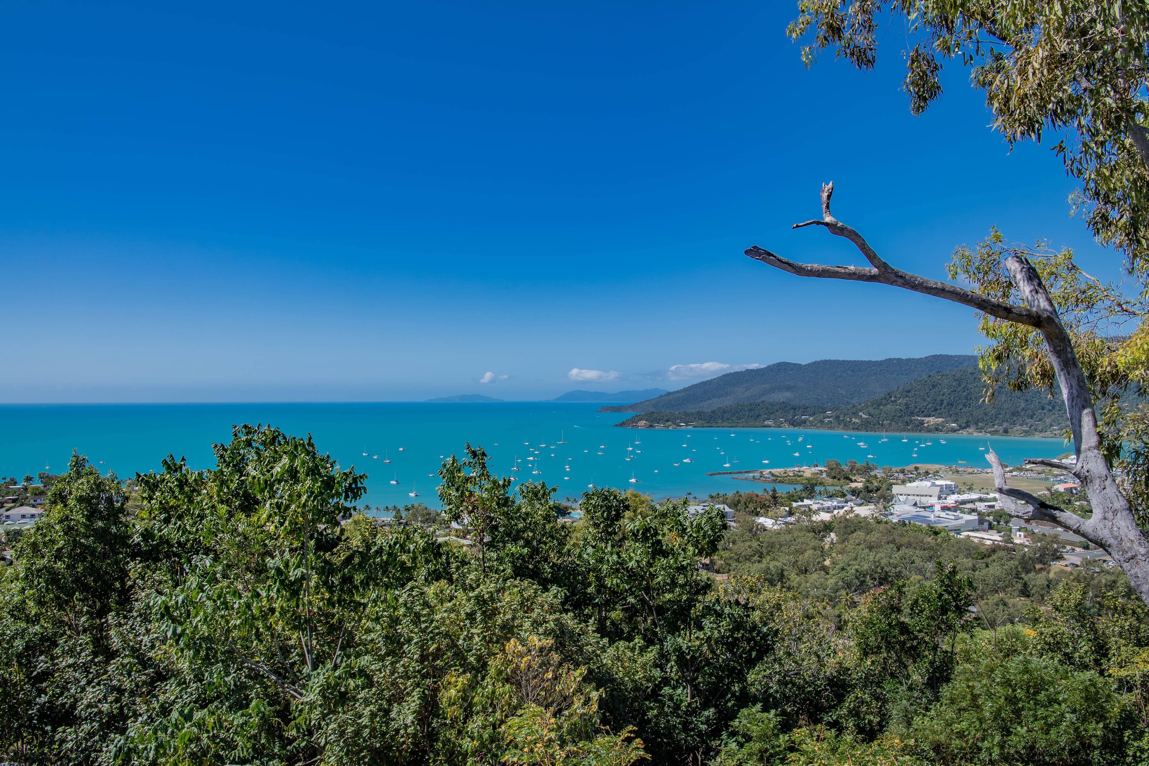 48 Seaview Drive, Airlie Beach QLD 4802, Airlie Beach - Thumbnail 4