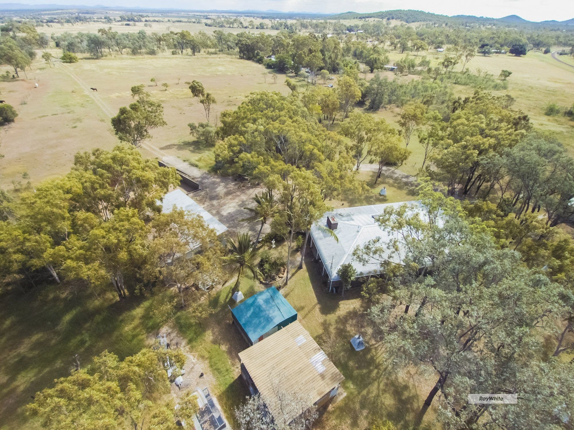814 Burke Road, Camberwell, Camberwell - Thumbnail 5