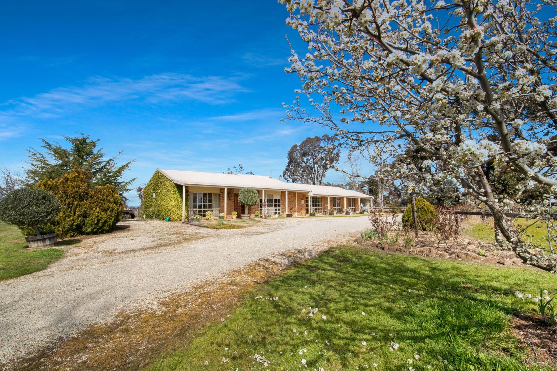 664 Grimwade Road, Nagambie VIC 3608, Nagambie - Thumbnail 4
