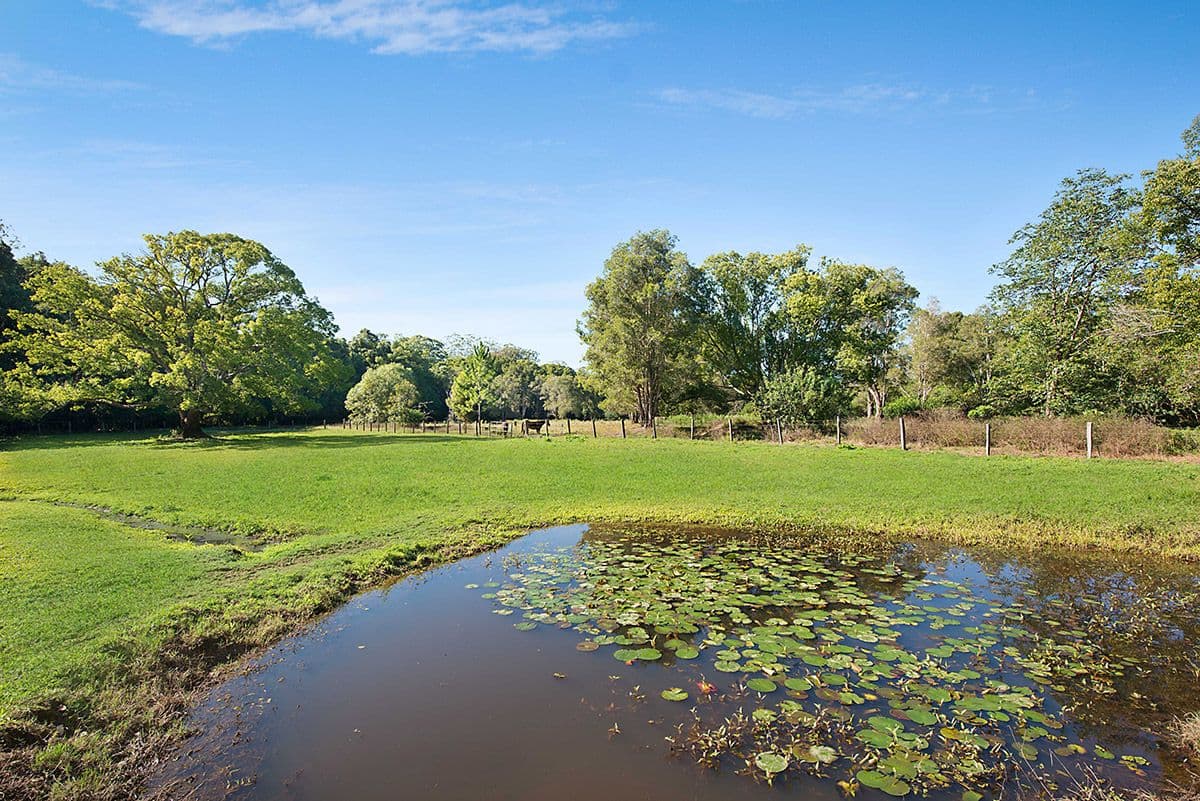 103 Old Palmwoods Road, West Woombye QLD 4559, West Woombye - Thumbnail 2