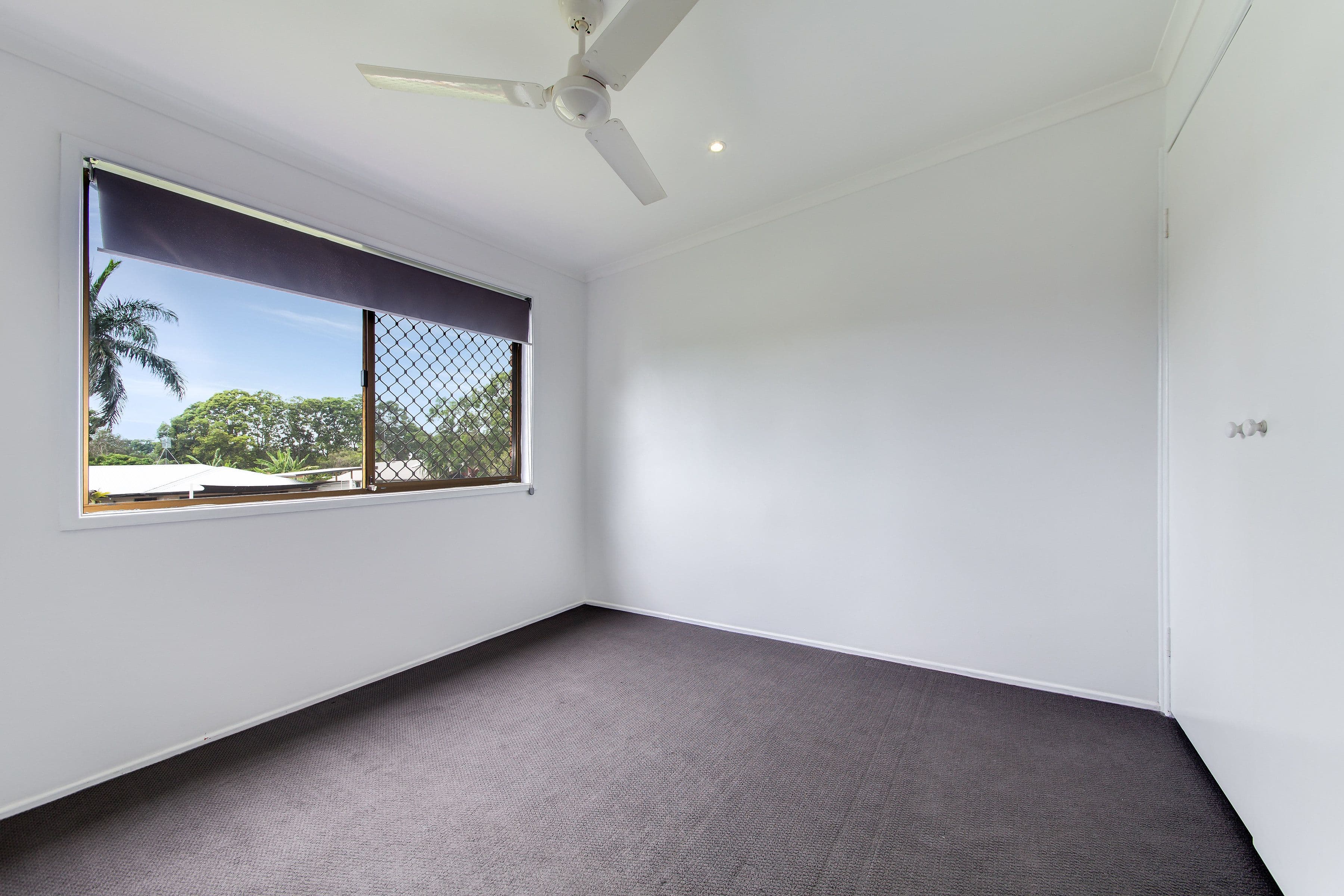55 Elkhorn Street, Kuluin QLD 4558, Kuluin - Thumbnail 7