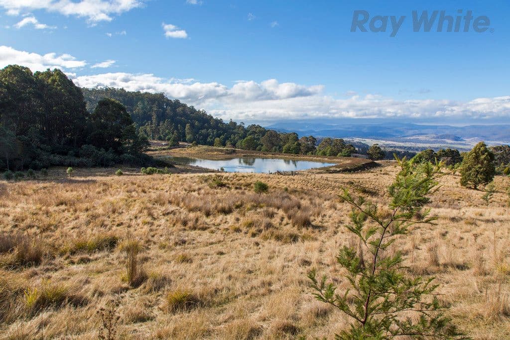 Lot 1 Yarlington Road, Colebrook TAS 7027, Colebrook - Thumbnail 6