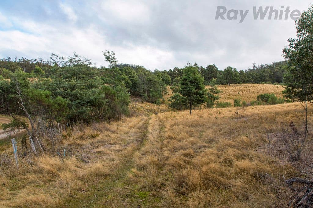 Lot 1 Yarlington Road, Colebrook TAS 7027, Colebrook - Thumbnail 8