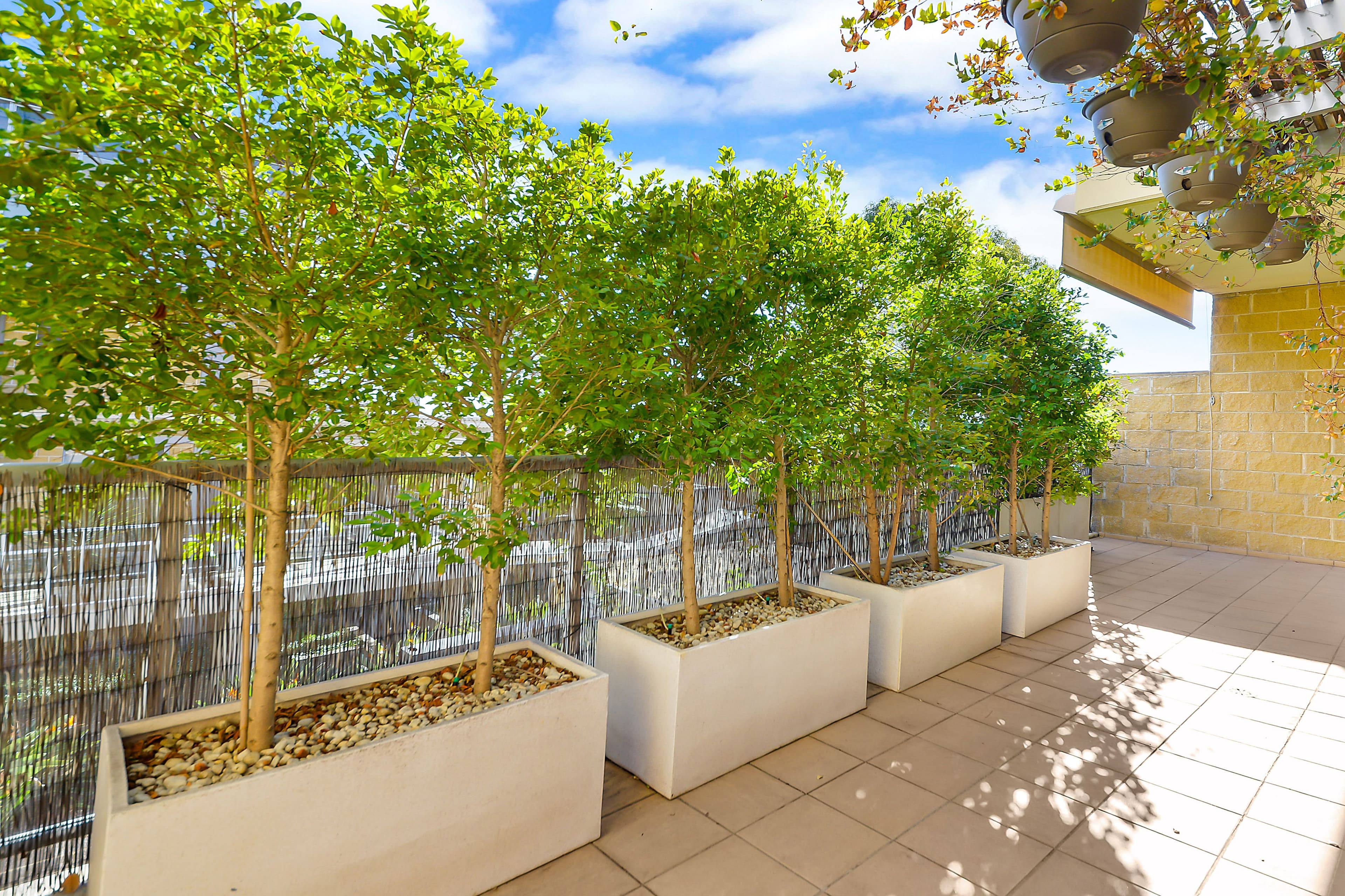 46 Tennyson Road, Mortlake NSW 2137, Mortlake - Thumbnail 2