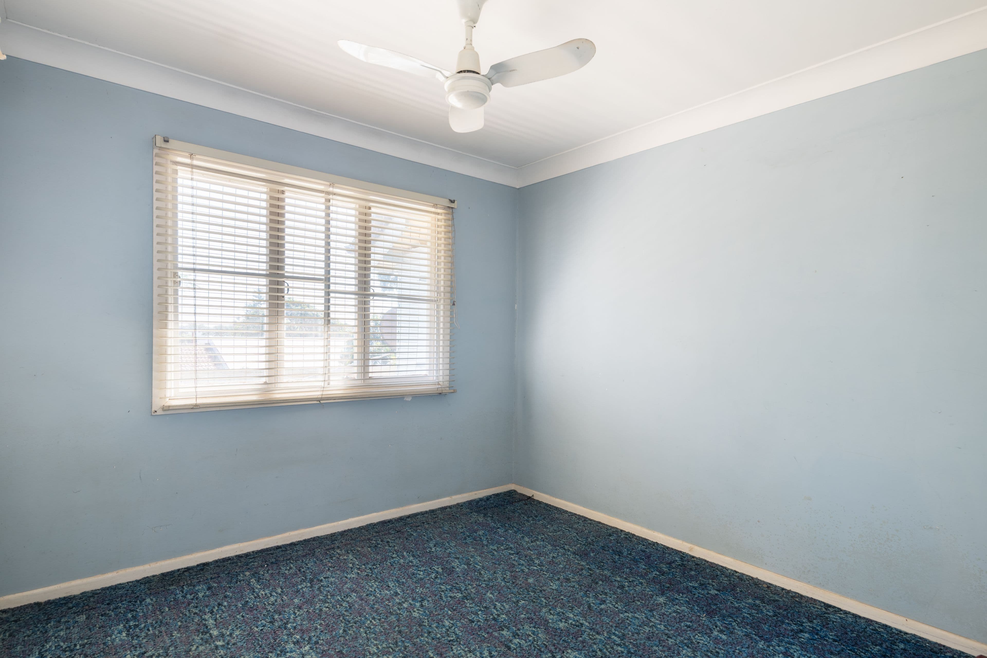 380 Saint Vincents Road, Nudgee QLD 4014, Nudgee - Thumbnail 8