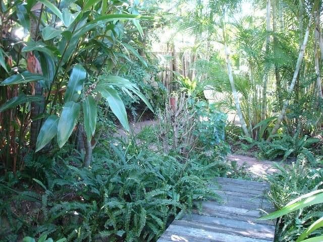 23 Saffron Drive, CURRIMUNDI QLD 4551, Currimundi - Thumbnail 8