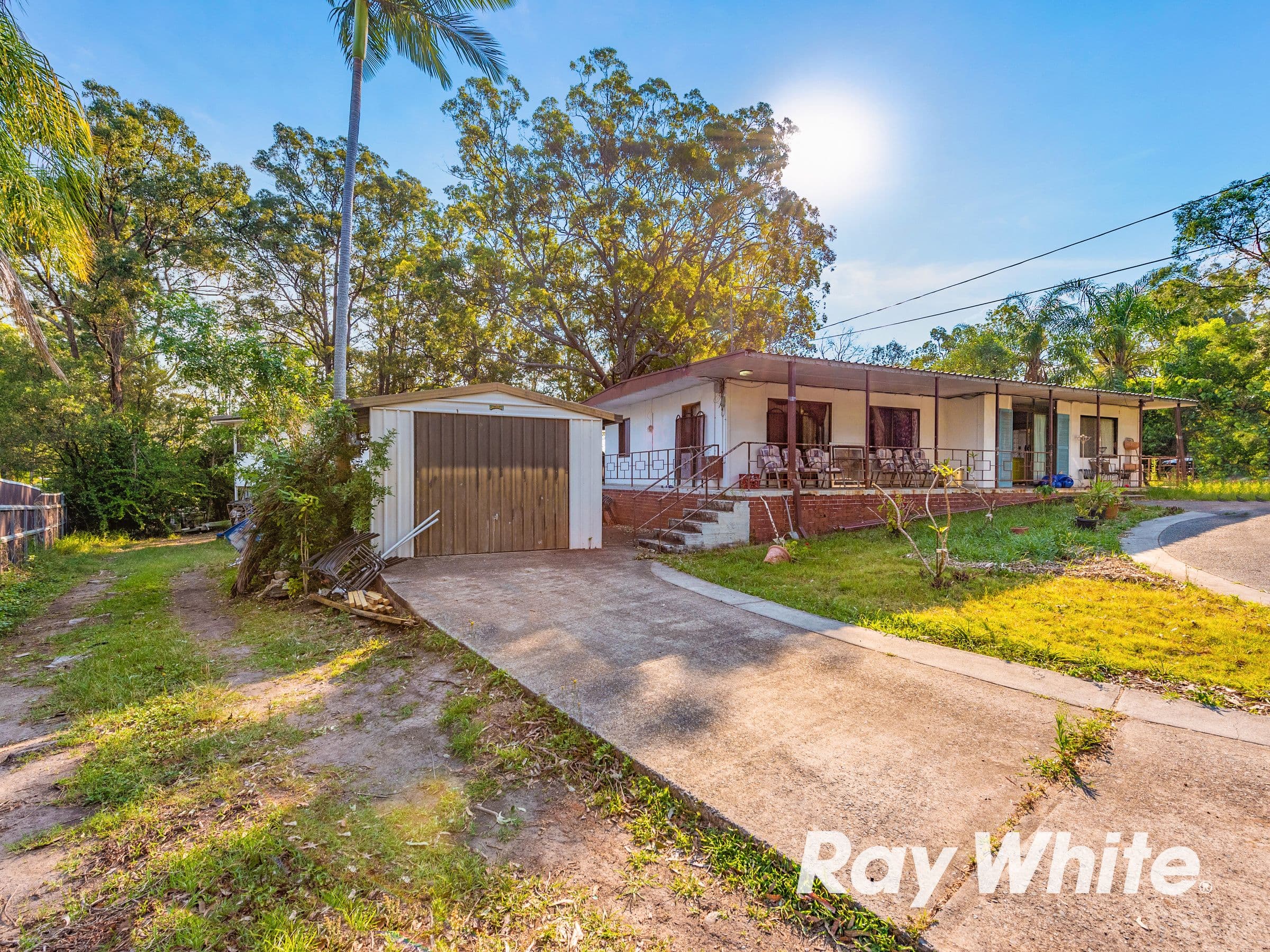 1 Pimpala Street, Loganlea QLD 4131, Loganlea - Thumbnail 2