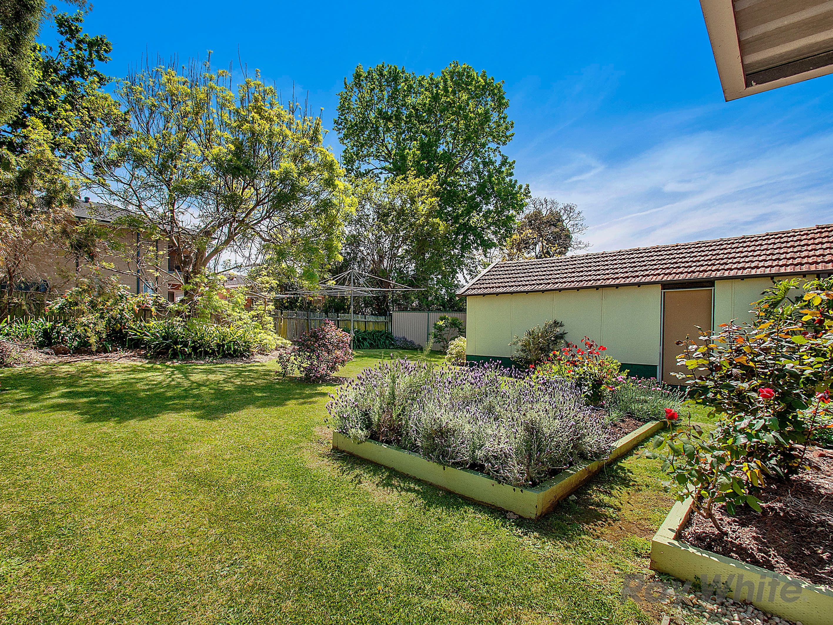 8 Robin Street, Carlingford - Thumbnail 3