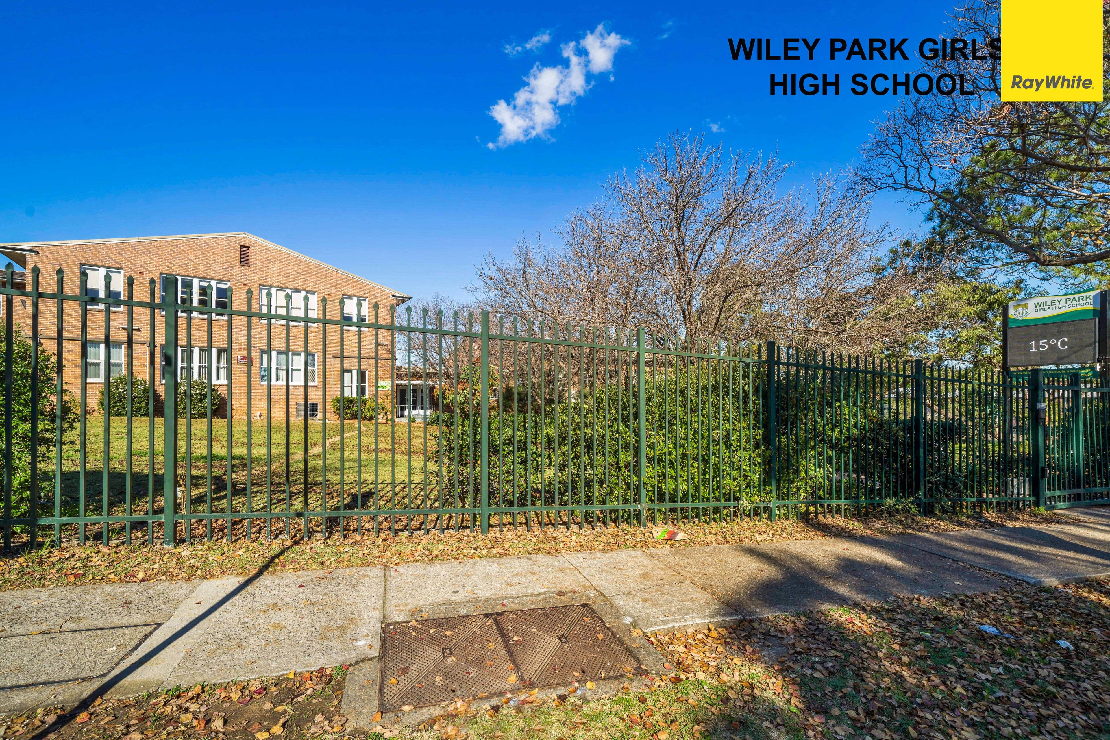 4 Denman Avenue, Wiley Park NSW 2195, Wiley Park - Thumbnail 6