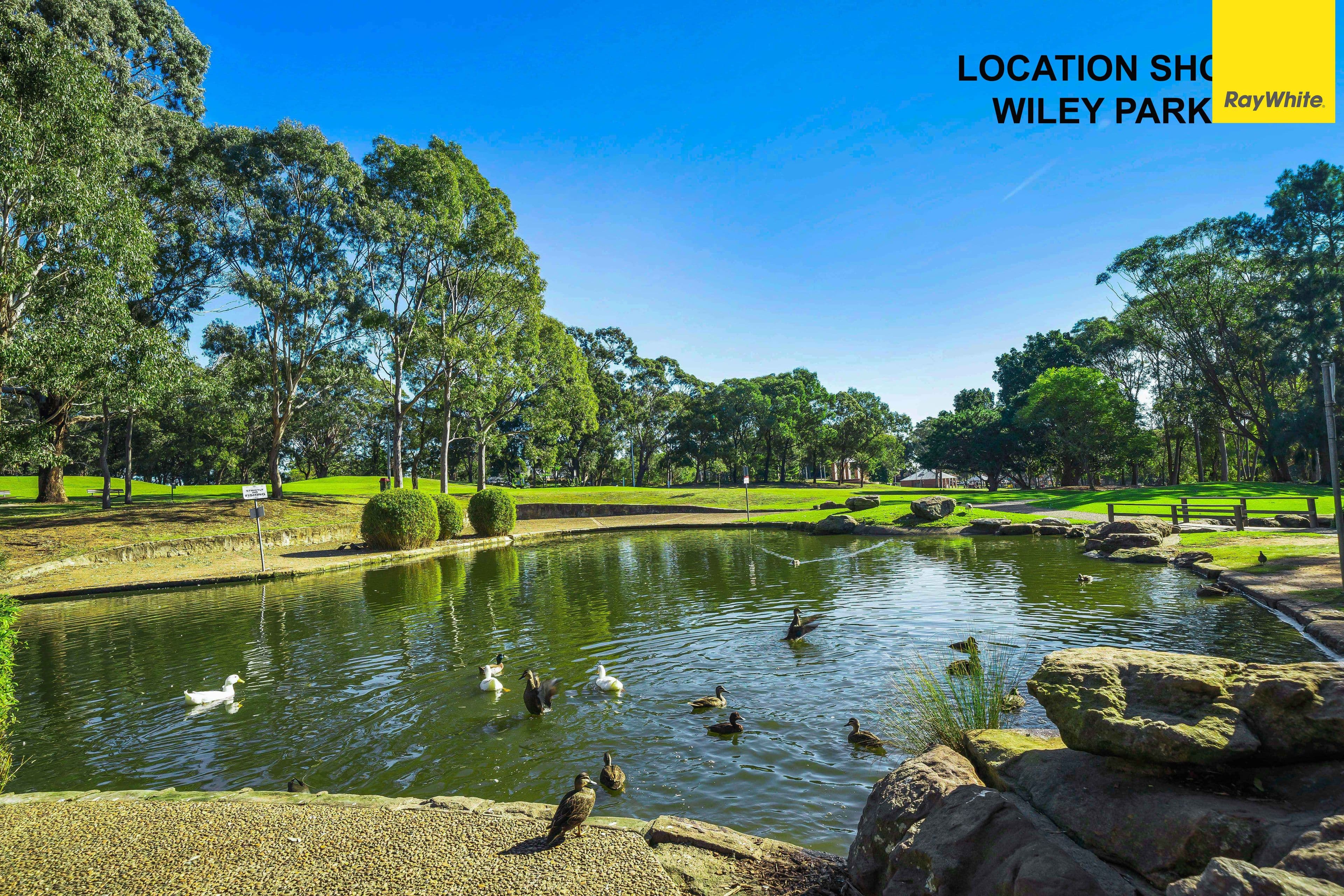 4 Denman Avenue, Wiley Park NSW 2195, Wiley Park - Thumbnail 7