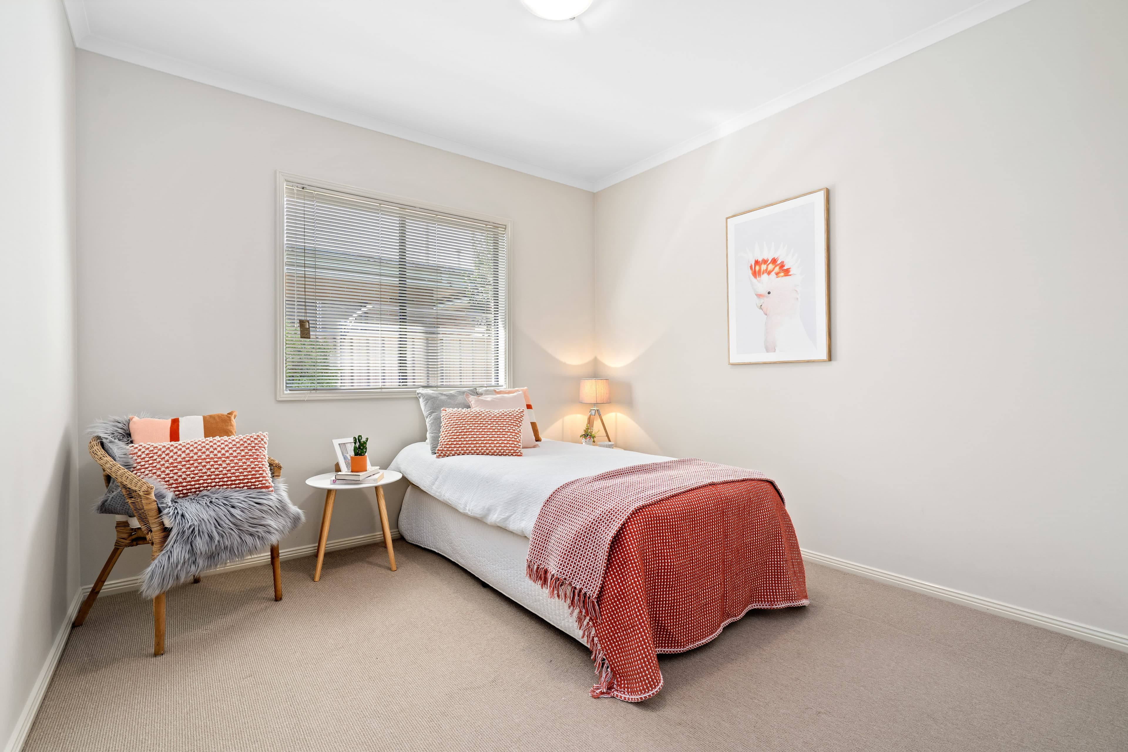 58 John Street, Ascot Park SA 5043, Ascot Park - Thumbnail 8