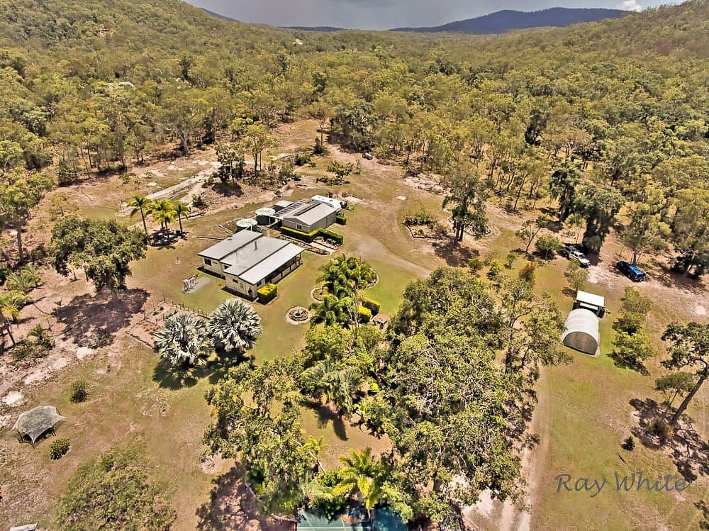40 Acres, 420 Murphy Road, Captain Creek QLD 4677, Captain Creek - Thumbnail 2