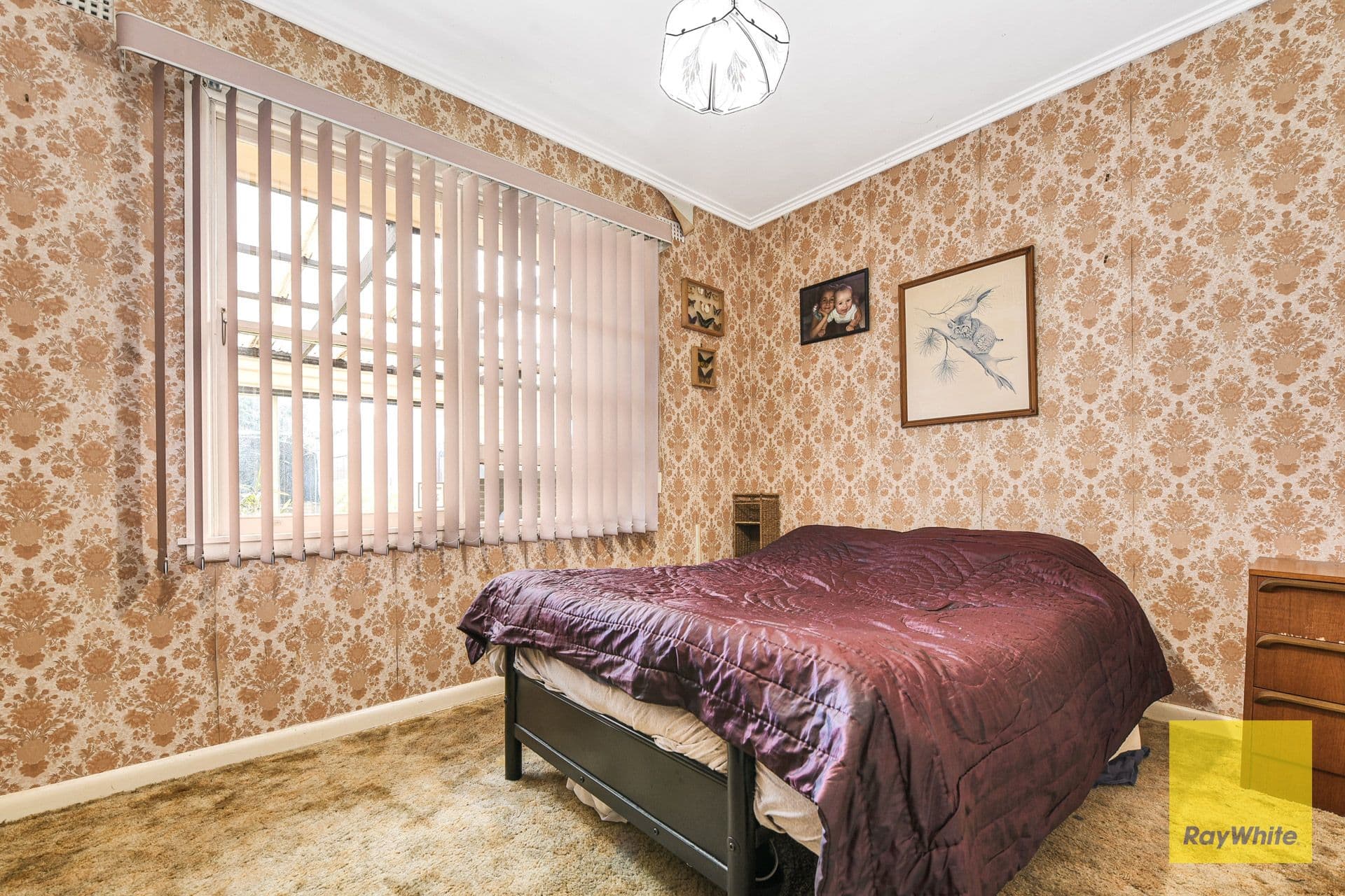 59 Curtin Crescent, Dandenong North VIC 3175, Dandenong North - Thumbnail 8