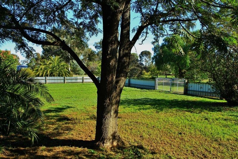 8 Almond Avenue, BRIDGEWATER ON LODDON VIC 3516, Bridgewater On Loddon - Thumbnail 3