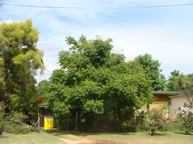 33  Windmill Road, CHINCHILLA QLD 4413, Chinchilla - Image 1