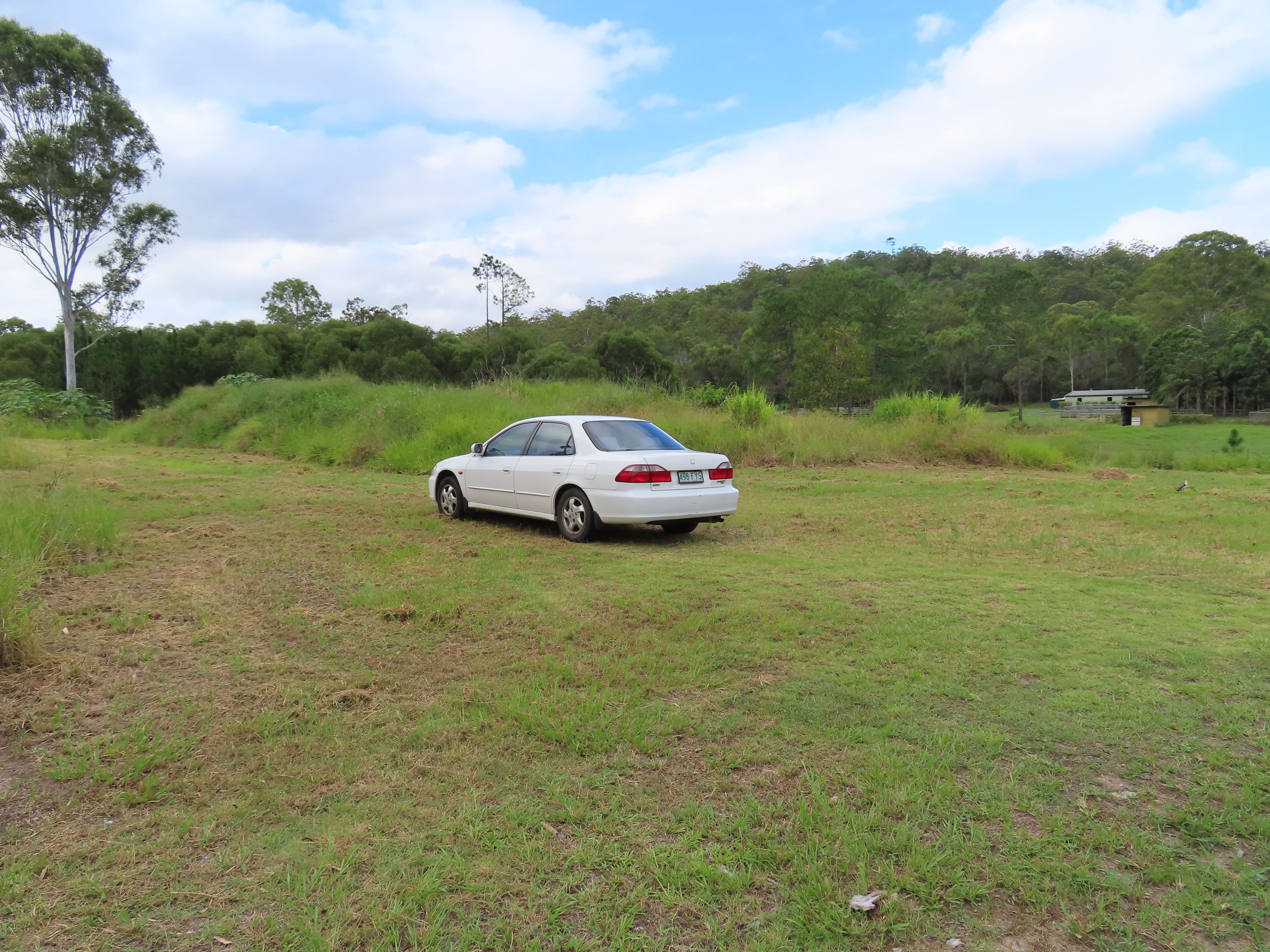 14 Breadsell Drive, Caboolture QLD 4510, Caboolture - Thumbnail 5