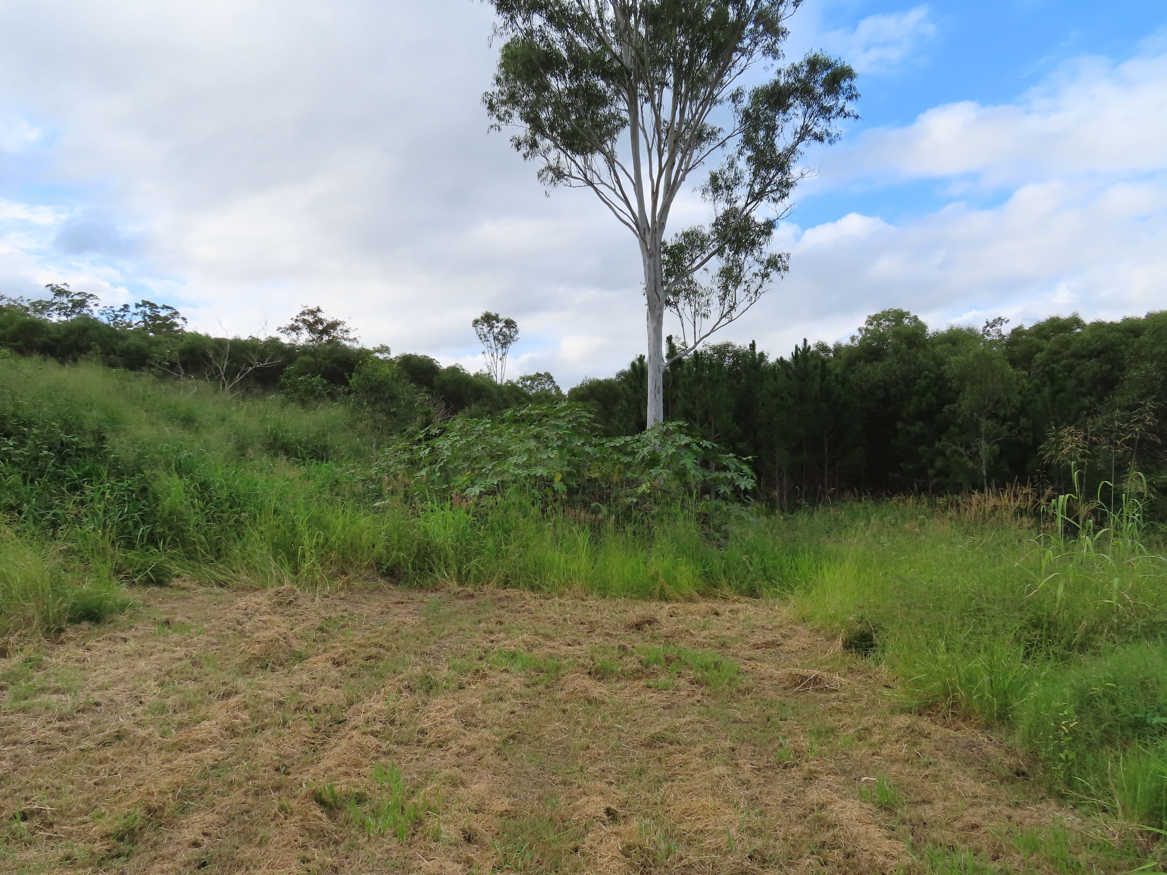 14 Breadsell Drive, Caboolture QLD 4510, Caboolture - Thumbnail 8