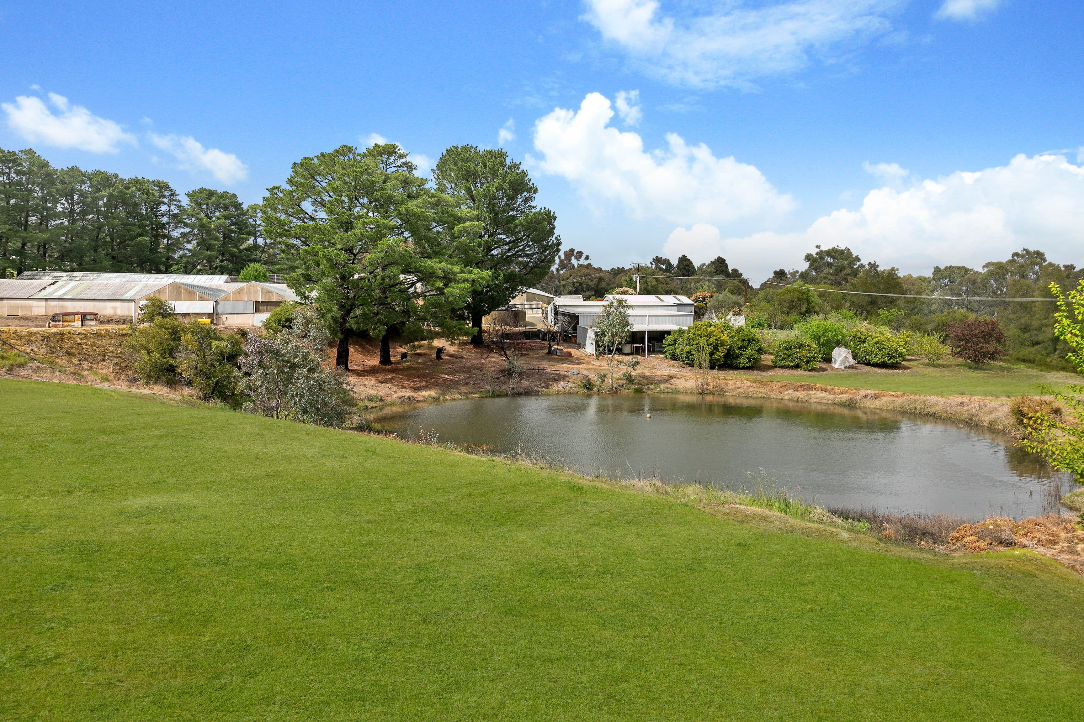 59 Murphy Road, Houghton SA 5131, Houghton - Thumbnail 4
