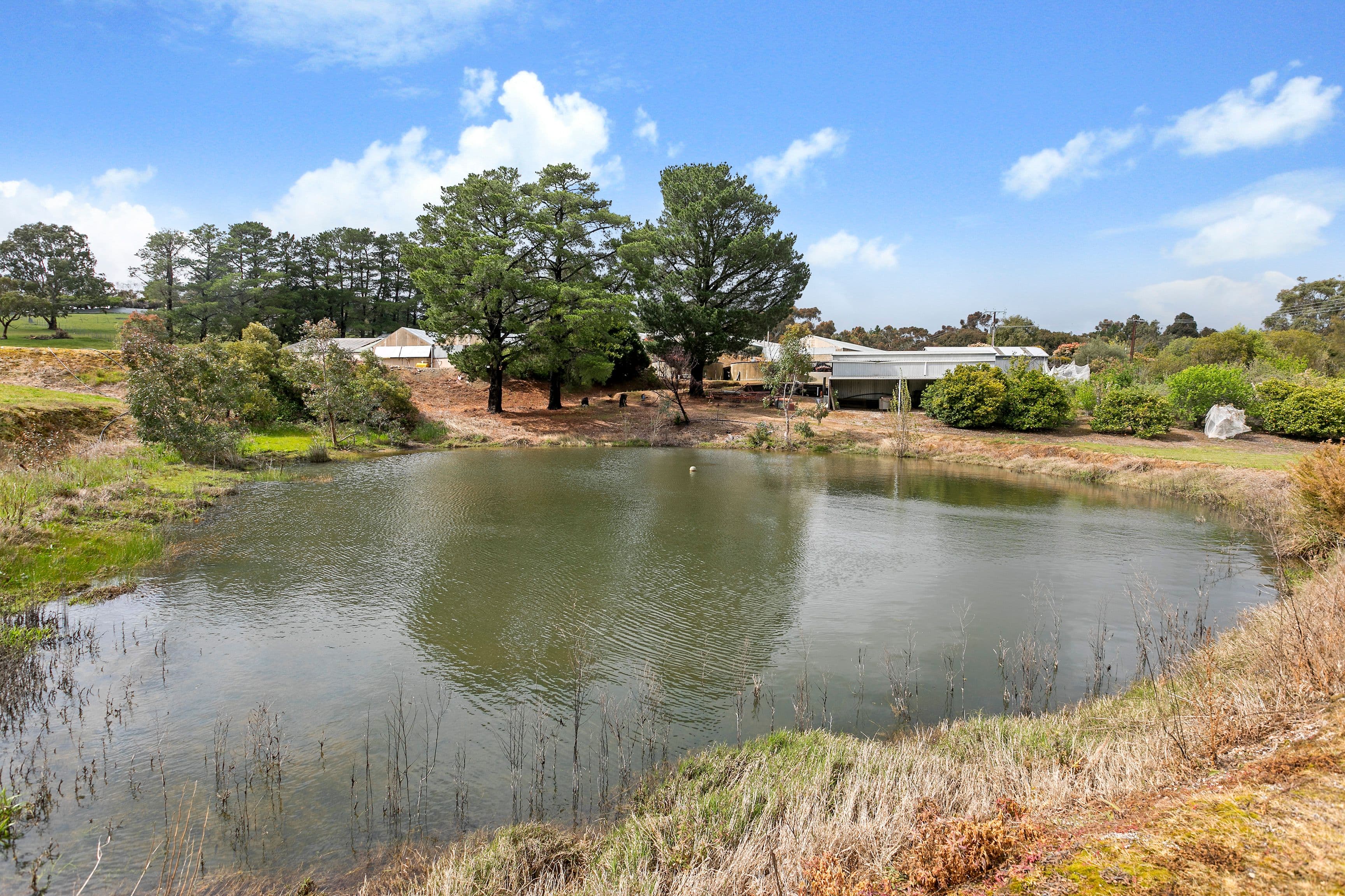 59 Murphy Road, Houghton SA 5131, Houghton - Thumbnail 5