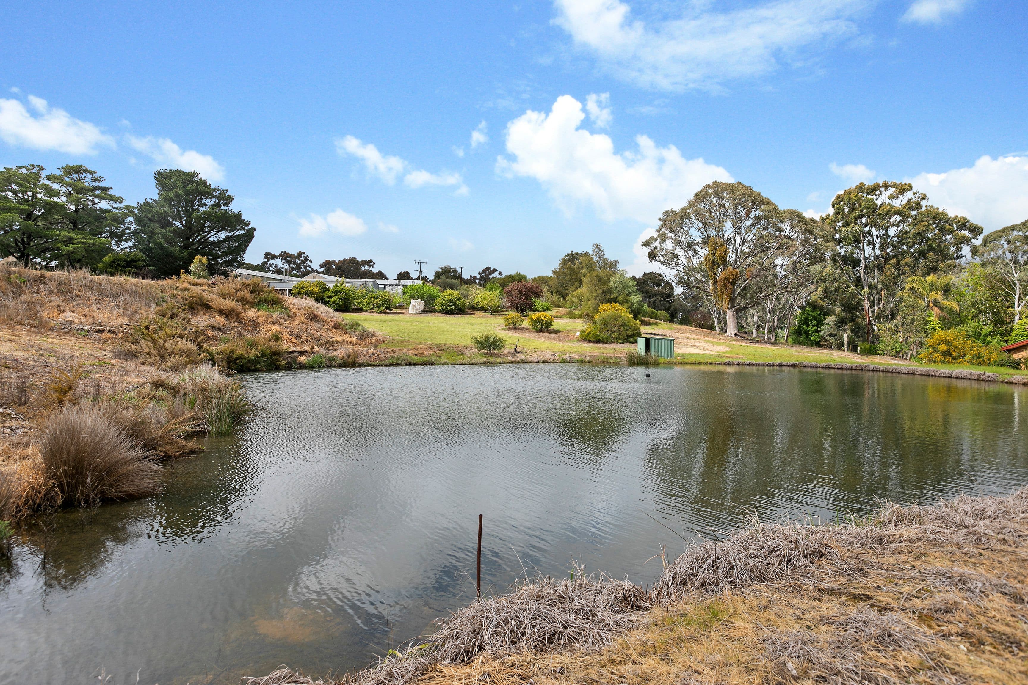 59 Murphy Road, Houghton SA 5131, Houghton - Thumbnail 6