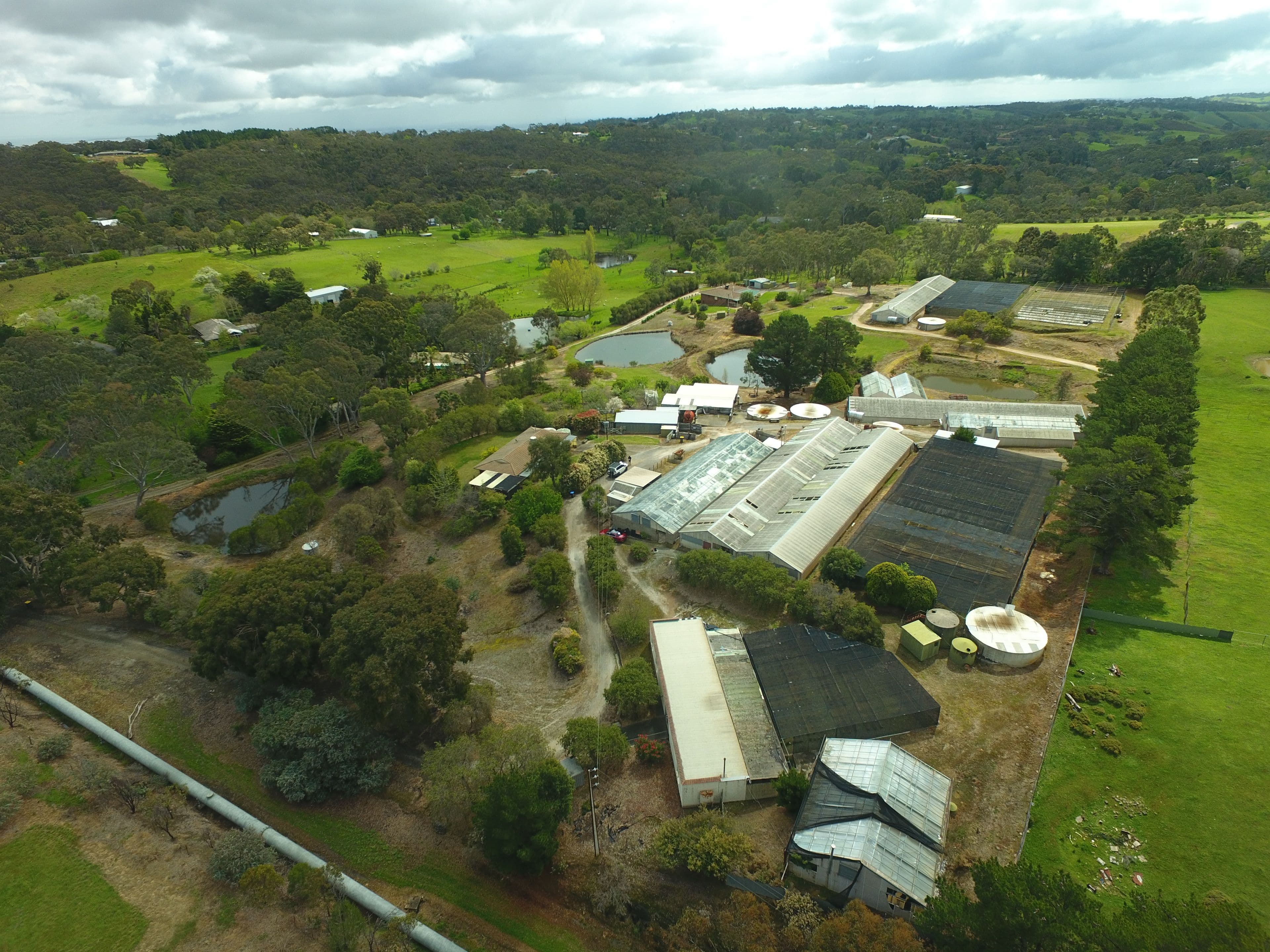 59 Murphy Road, Houghton SA 5131, Houghton - Thumbnail 7