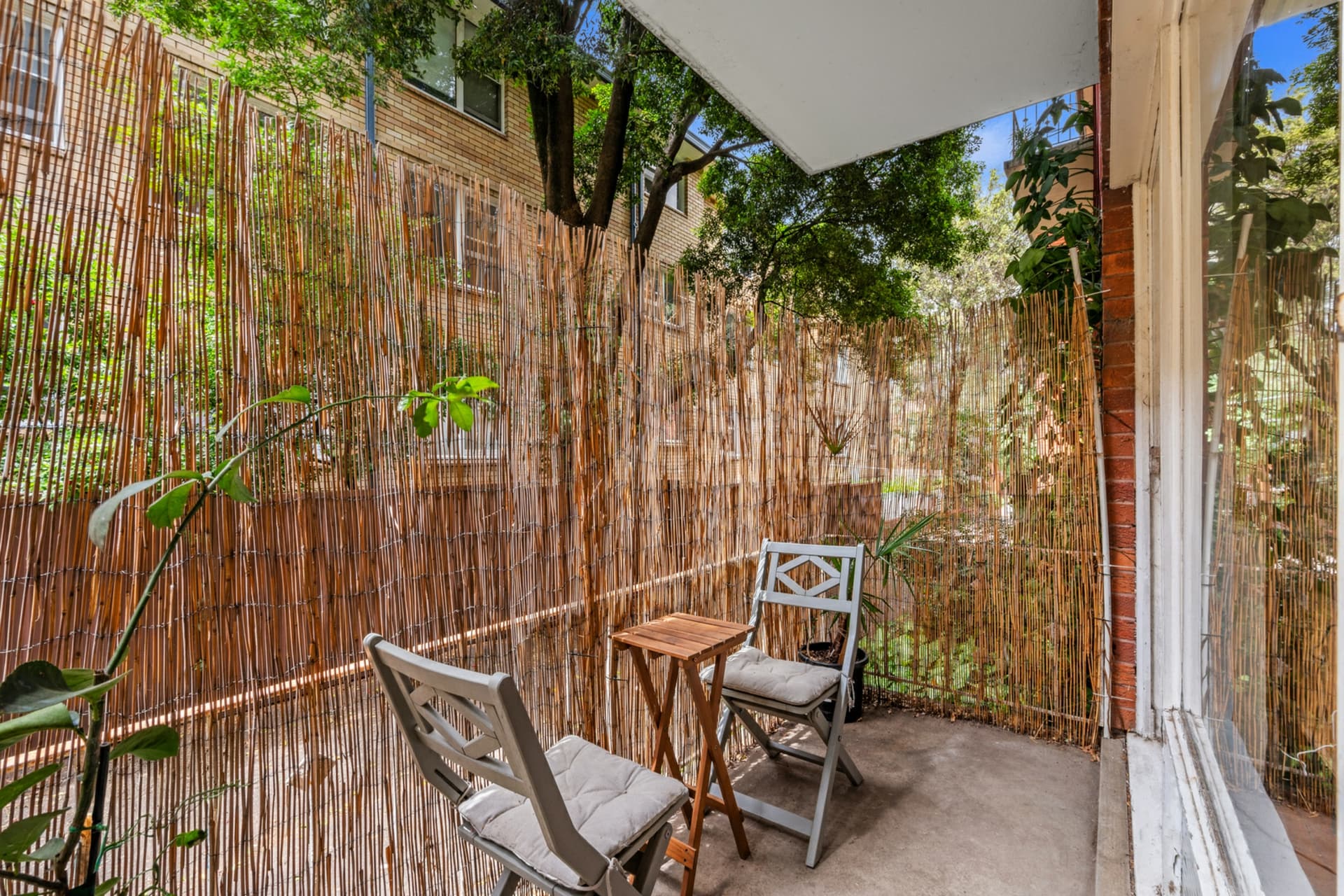 13/31 Elizabeth Street, Ashfield, Ashfield - Thumbnail 6