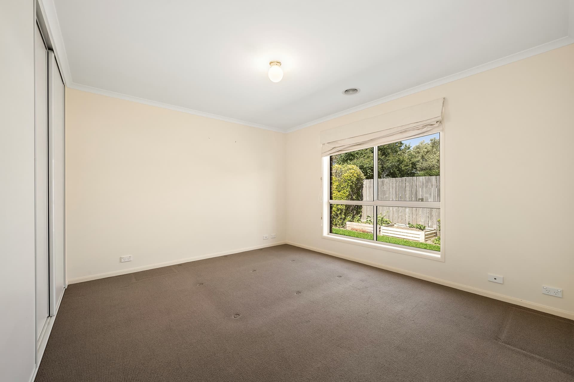 29 Olary Street, Amaroo, Amaroo - Thumbnail 7